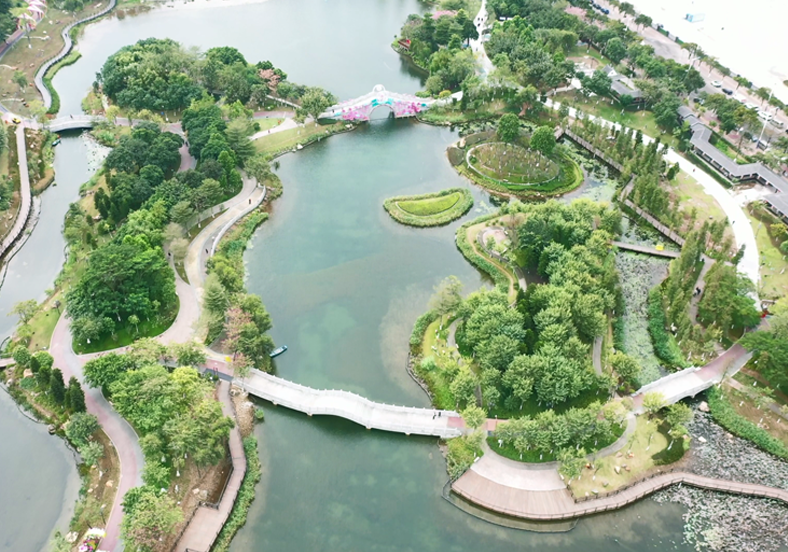 重建水下生態(tài)系統(tǒng)，提升水體自凈能力